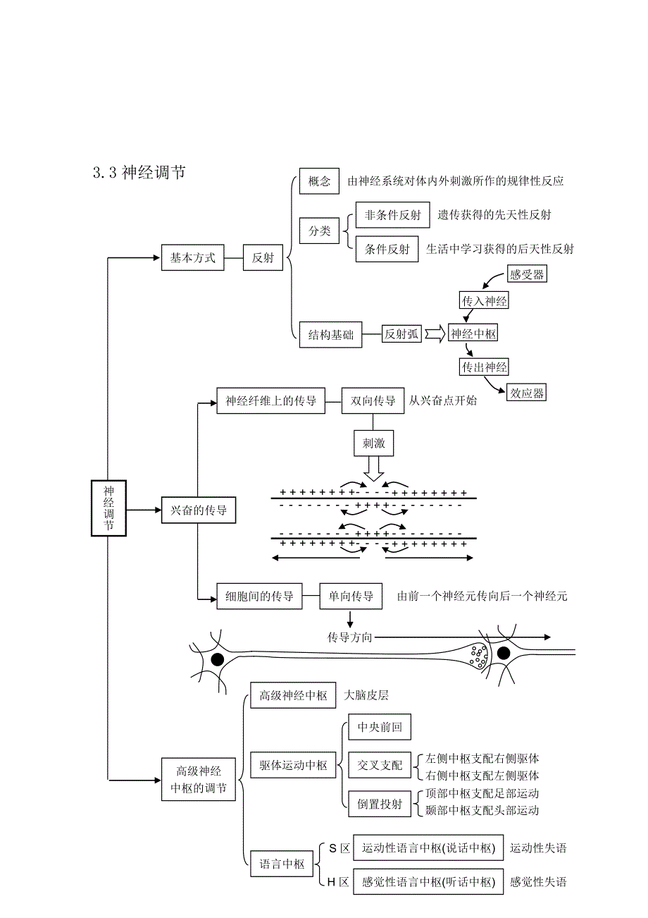 2012高考生物总复习知识点总结：第三单元 生命活动的调节.doc_第3页