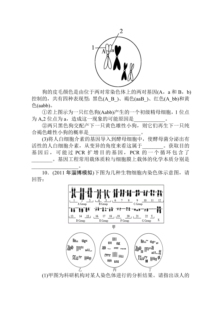 2012高考生物一轮复习金榜夺冠（课时作业）：必修２第三章第2节.doc_第3页