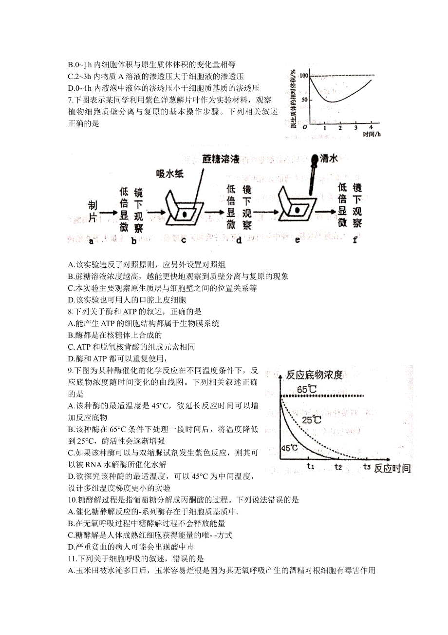 河北省廊坊市第十二中学2022届高三上学期第一次模拟考试生物试题 WORD版含答案.doc_第2页