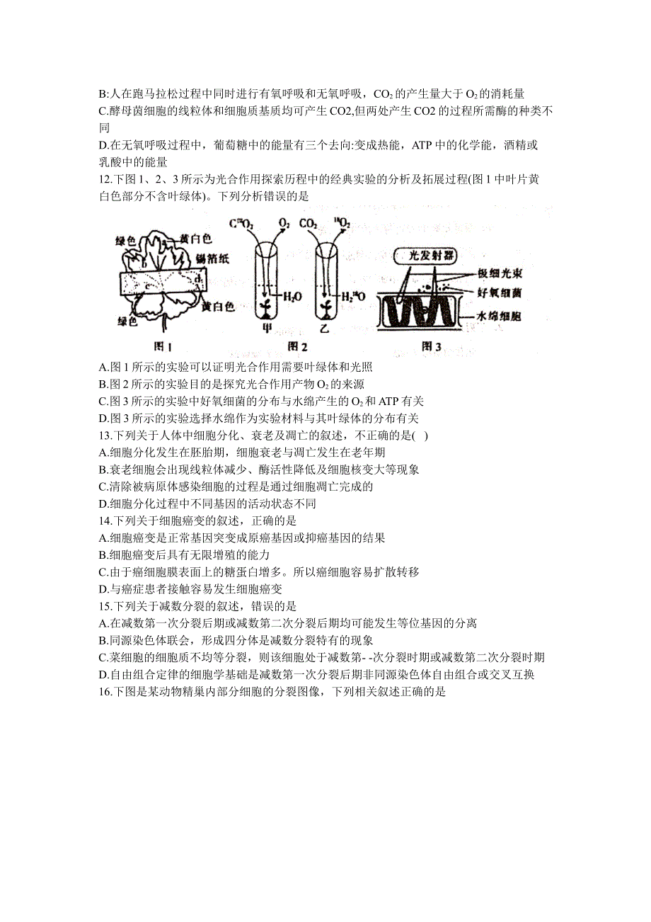 河北省廊坊市第十二中学2022届高三上学期第一次模拟考试生物试题 WORD版含答案.doc_第3页