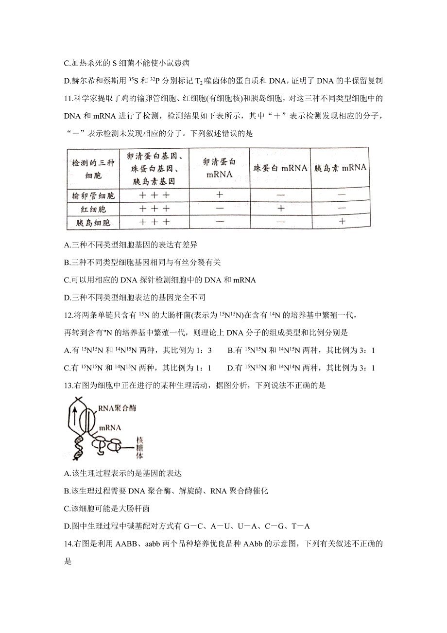 河北省张家口市2021届高三上学期第一阶段检测试题 生物 WORD版含答案BYCHUN.doc_第3页