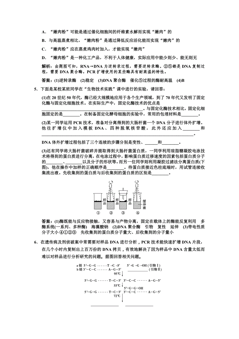 2012高考生物第一轮专题精炼（蛋白质和DNA技术）.doc_第3页