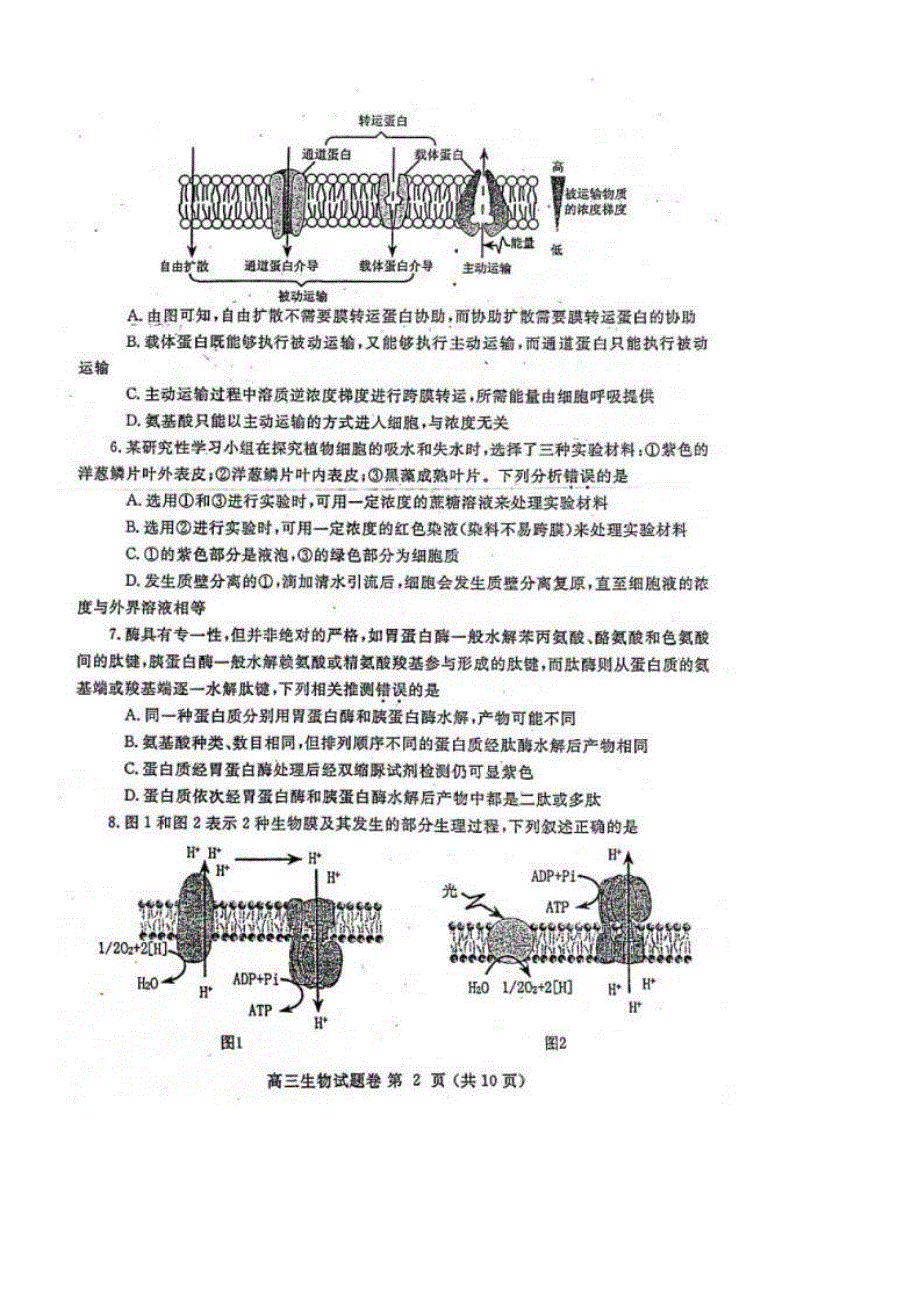 河南省郑州市2022届高三上学期第一次质量预测（一模）（1月） 生物 PDF版含答案.pdf_第2页