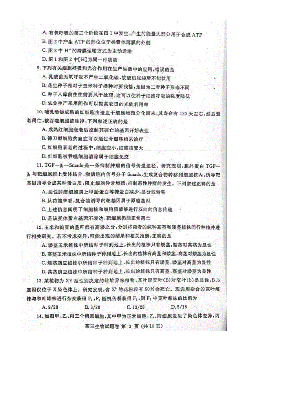 河南省郑州市2022届高三上学期第一次质量预测（一模）（1月） 生物 PDF版含答案.pdf_第3页