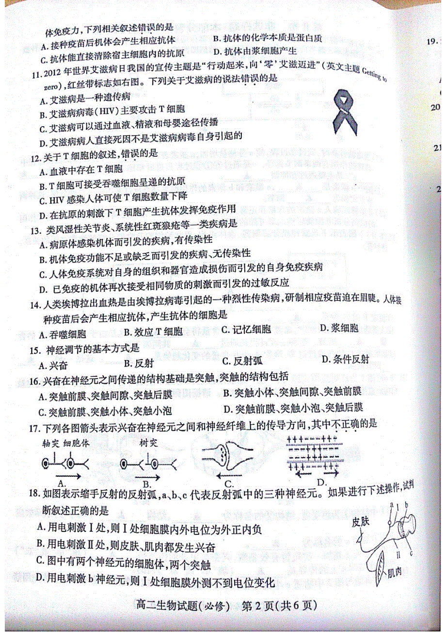 江苏省徐州市2015-2016学年高二上学期期中考试生物试题 PDF版无答案.pdf_第2页