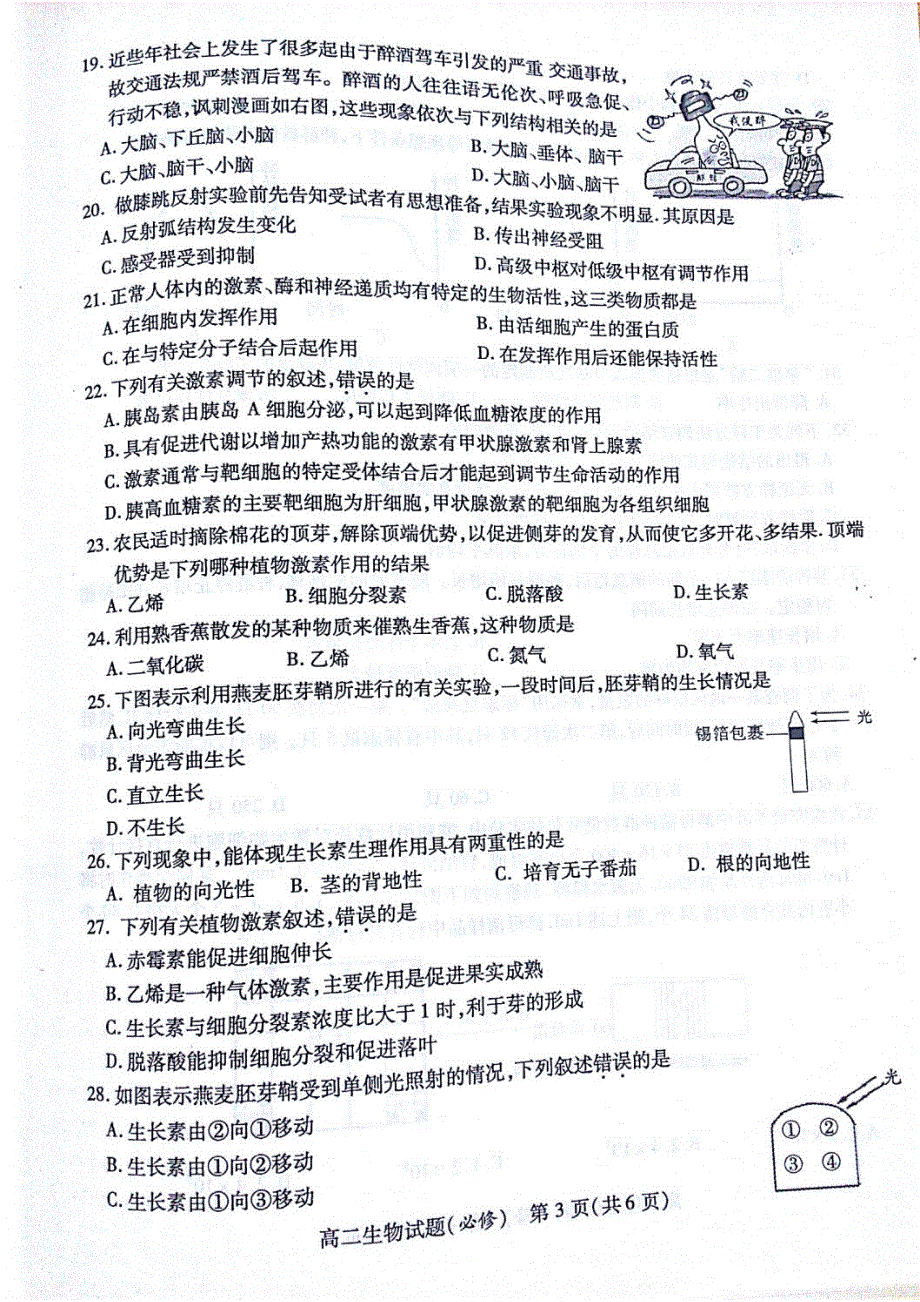 江苏省徐州市2015-2016学年高二上学期期中考试生物试题 PDF版无答案.pdf_第3页