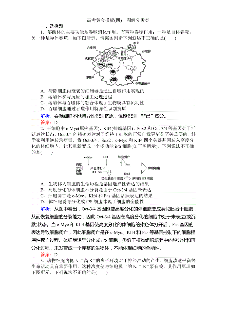 《师说》2017届高考生物二轮复习专项训练：高考黄金模板（四） WORD版含解析.doc_第1页