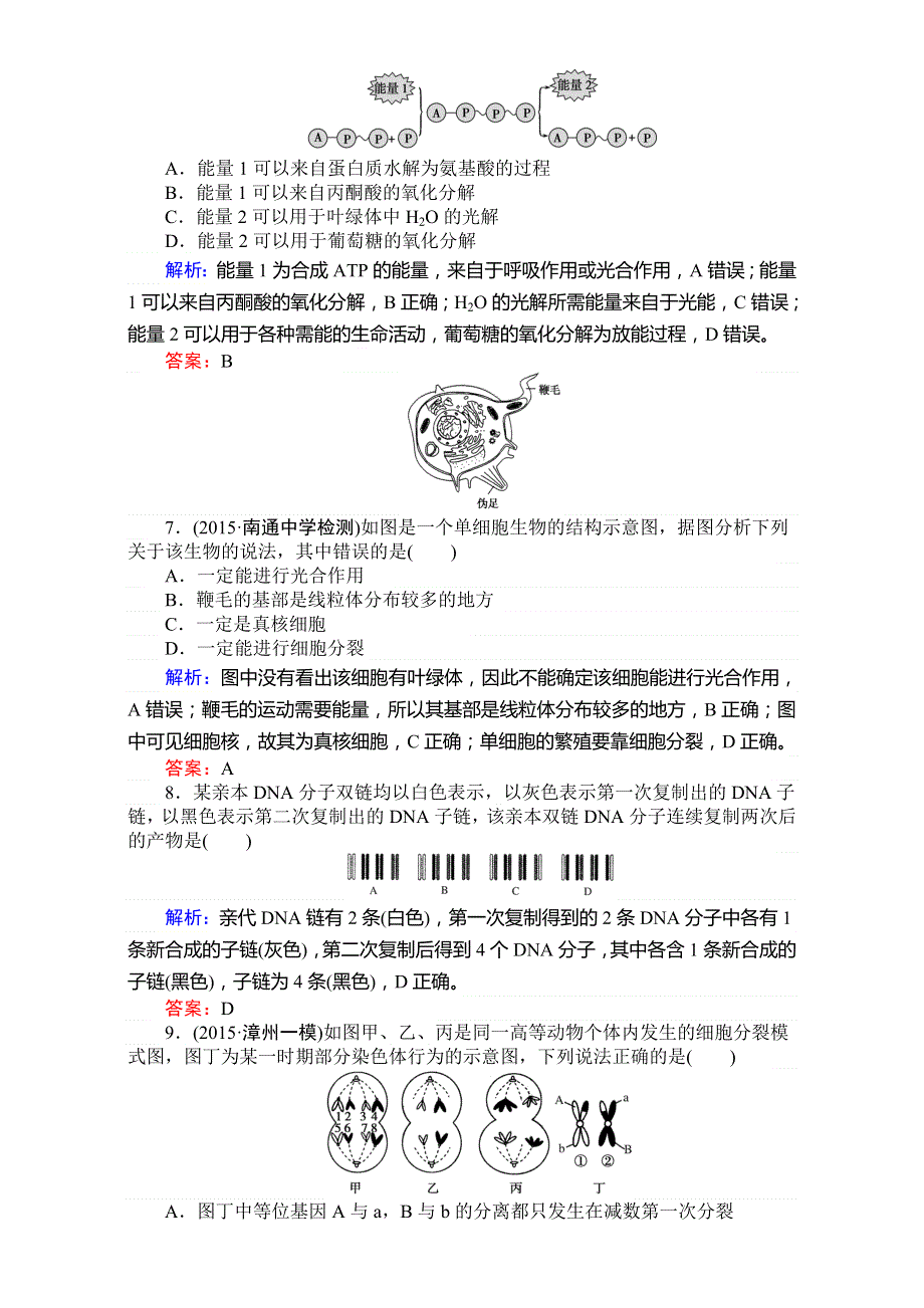 《师说》2017届高考生物二轮复习专项训练：高考黄金模板（四） WORD版含解析.doc_第3页