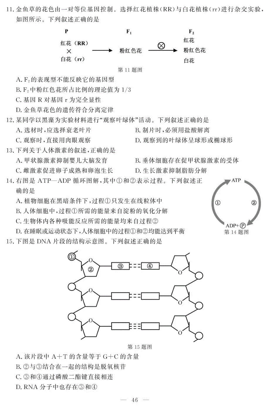 浙江省2019年6月普通高中学业水平考试 生物 PDF版含答案.pdf_第3页