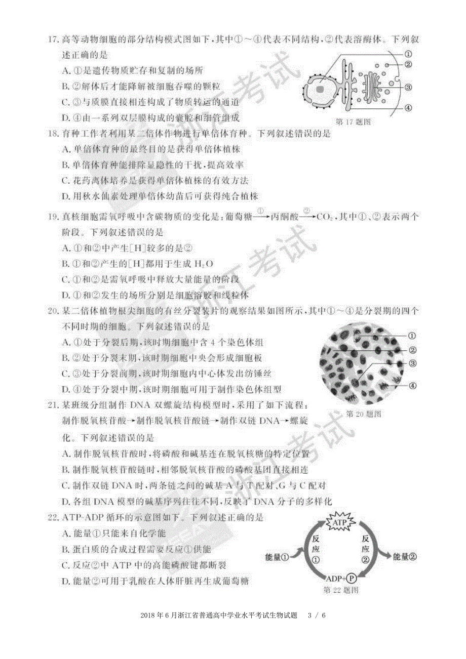 浙江省2018年6月普通高中学业水平考试 生物 PDF版含答案.pdf_第3页