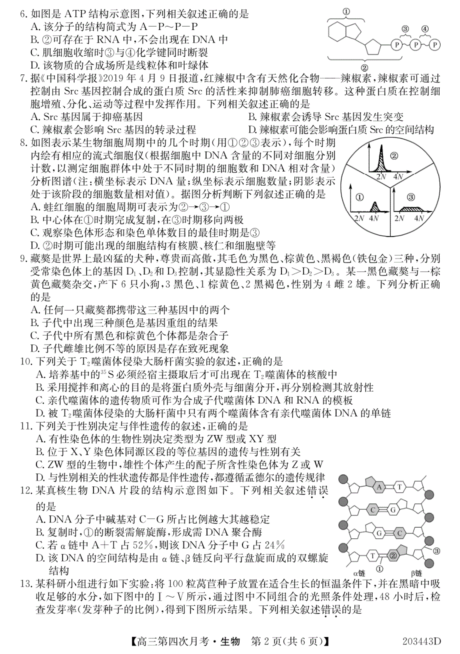 黑龙江省齐齐哈尔市拜泉四中2020届高三上学期第四次月考生物试卷 PDF版含答案.pdf_第2页