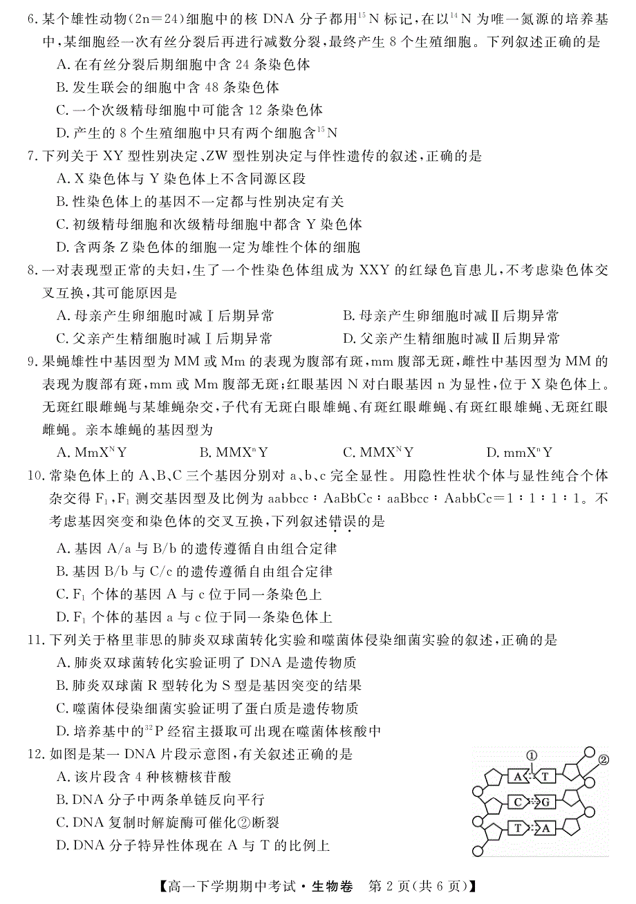 黑龙江省齐齐哈尔市普通高中2019-2020学年高一联谊校考试生物试题 PDF版含答案.pdf_第2页