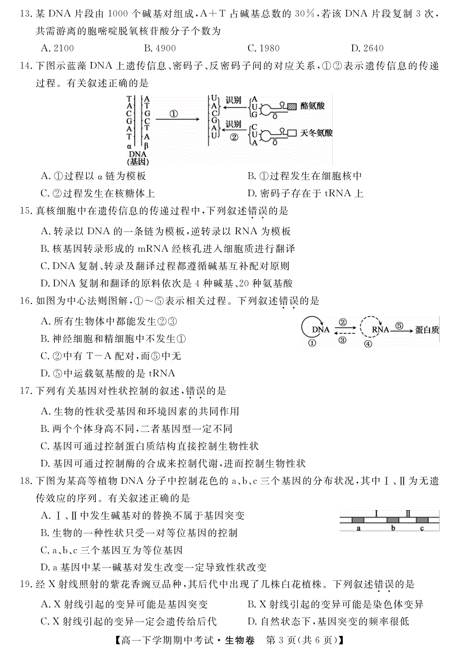 黑龙江省齐齐哈尔市普通高中2019-2020学年高一联谊校考试生物试题 PDF版含答案.pdf_第3页