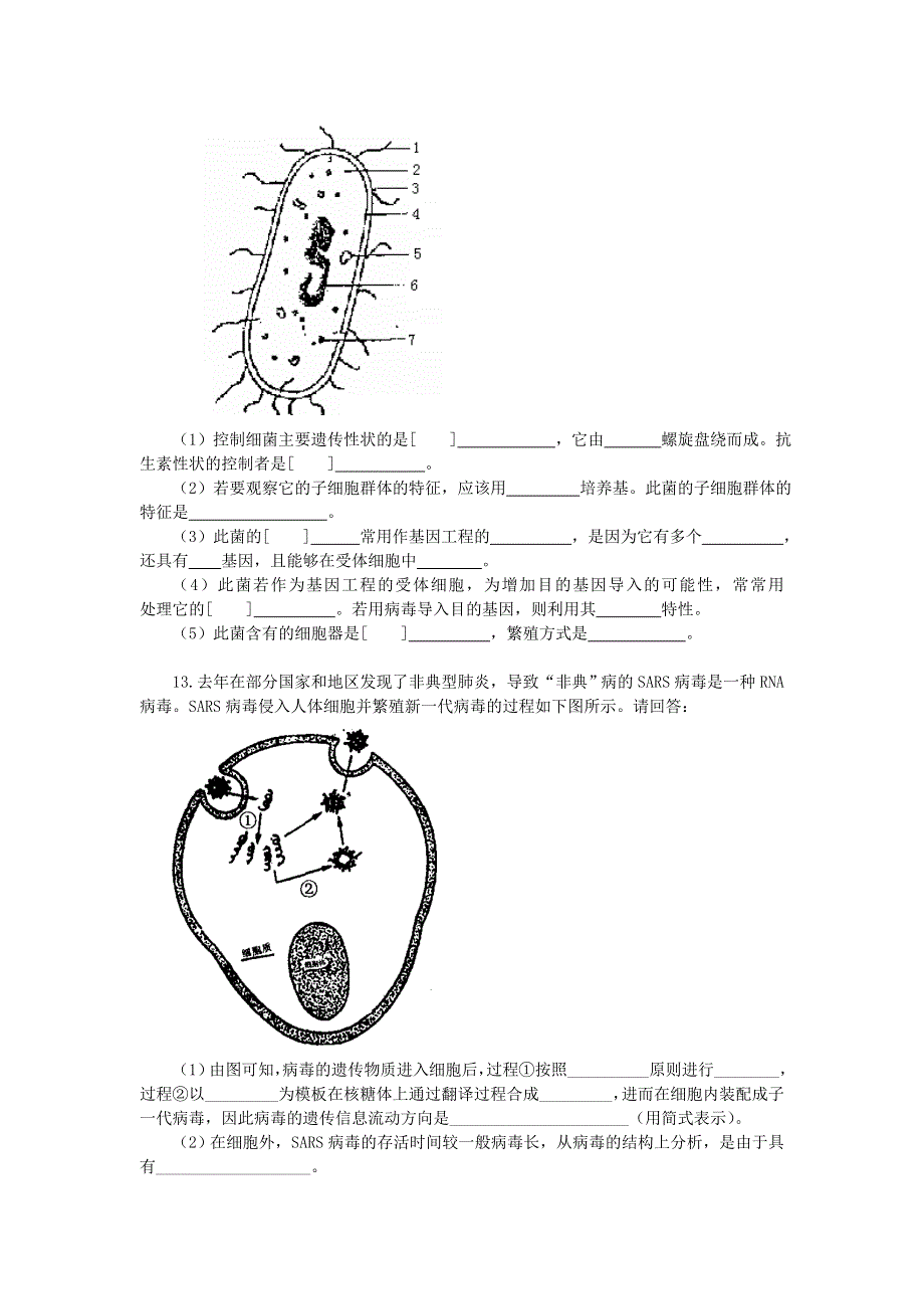 《微生物的类群》同步练习（2）.doc_第2页