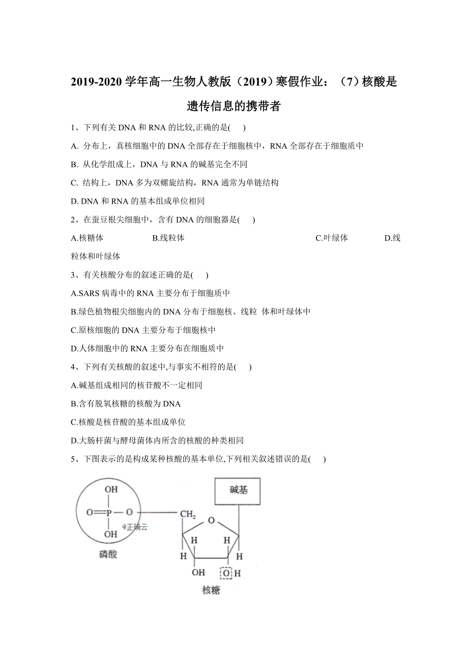 2019-2020学年高一生物人教版（2019）寒假作业：（7）核酸是遗传信息的携带者 WORD版含答案.doc_第1页