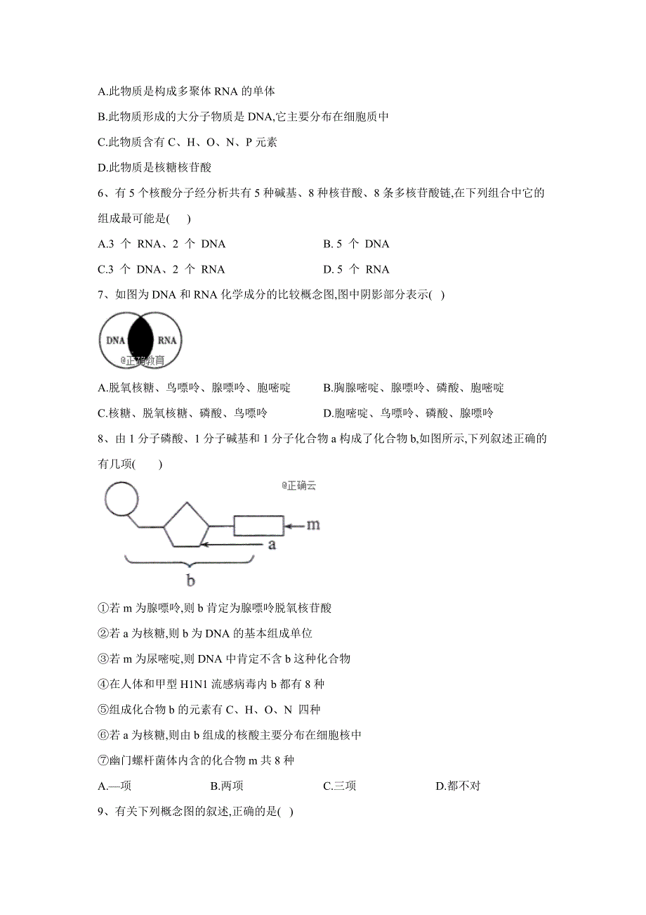 2019-2020学年高一生物人教版（2019）寒假作业：（7）核酸是遗传信息的携带者 WORD版含答案.doc_第2页