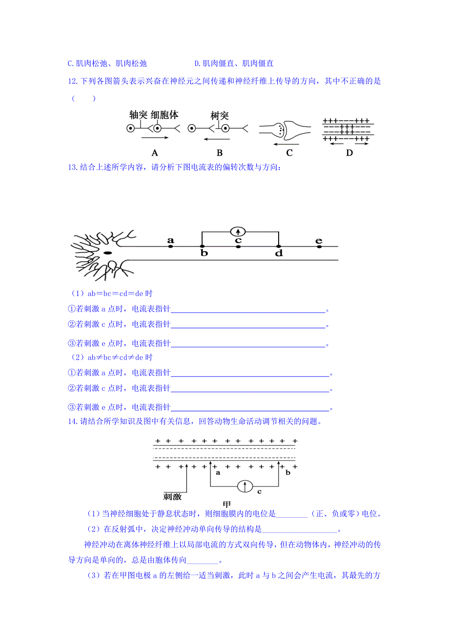 山西省忻州市田家炳中学人教版高中生物必修三课时测练：第二章 动物和人体生命活动的调节 第一节 通过神经系统的调节 第2课时 WORD版缺答案.doc_第3页