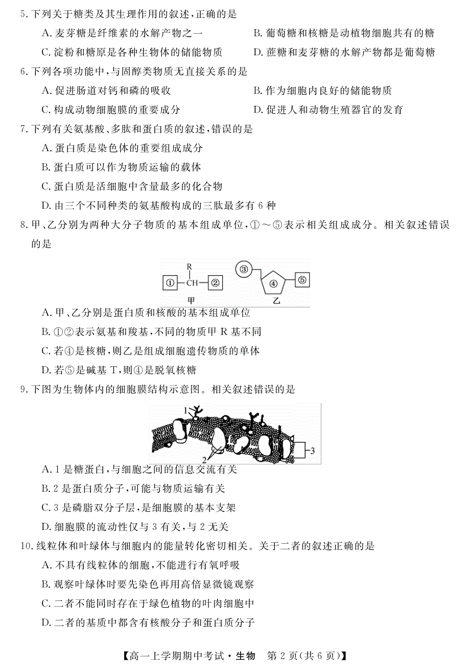 黑龙江省齐齐哈尔市齐齐哈尔中学2020-2021学年高一上学期期中考试生物试题 PDF版含答案.pdf_第2页