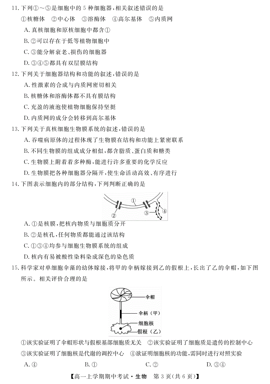 黑龙江省齐齐哈尔市齐齐哈尔中学2020-2021学年高一上学期期中考试生物试题 PDF版含答案.pdf_第3页