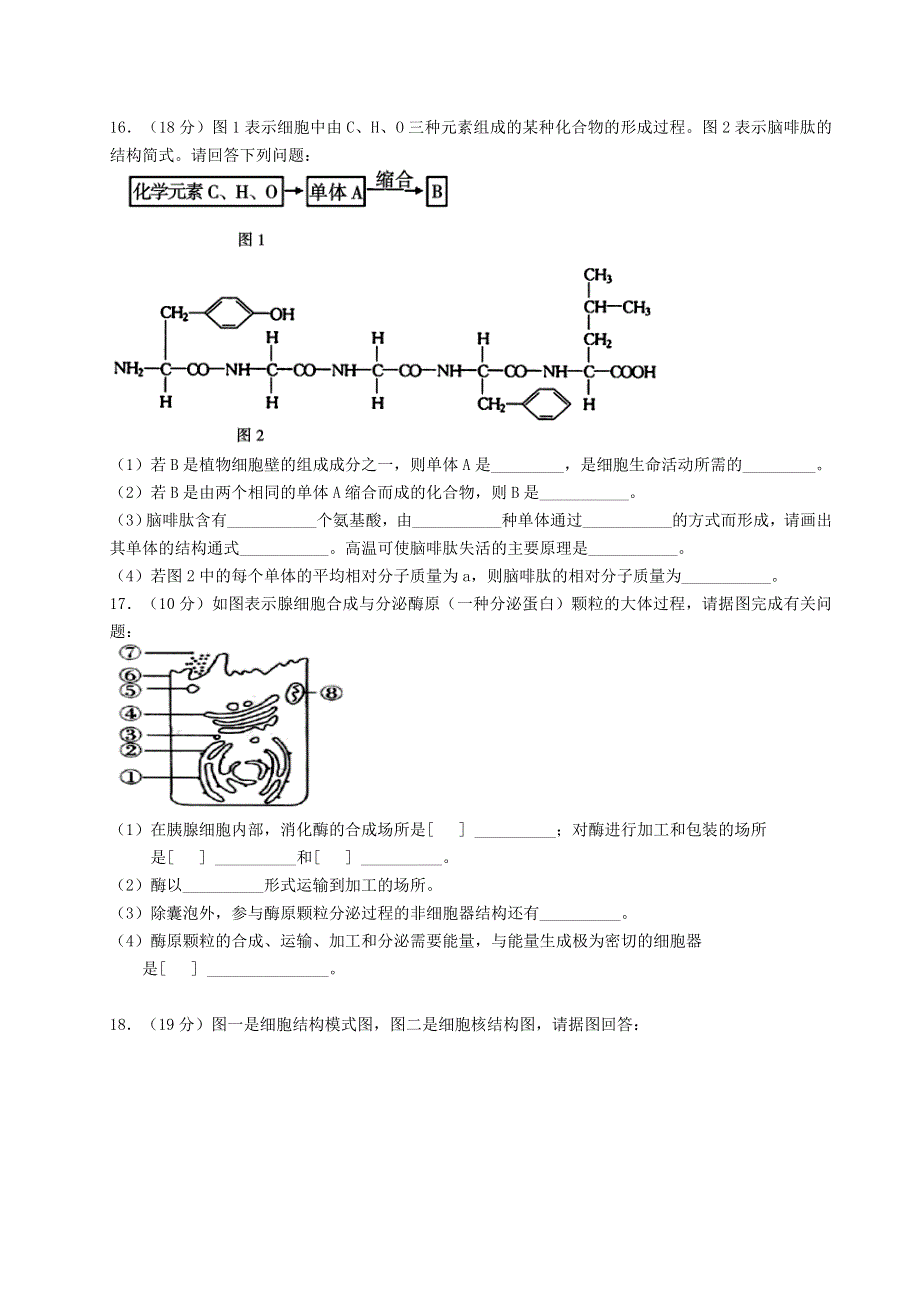 宁夏平罗中学2020-2021学年高二生物上学期期中试题.doc_第3页