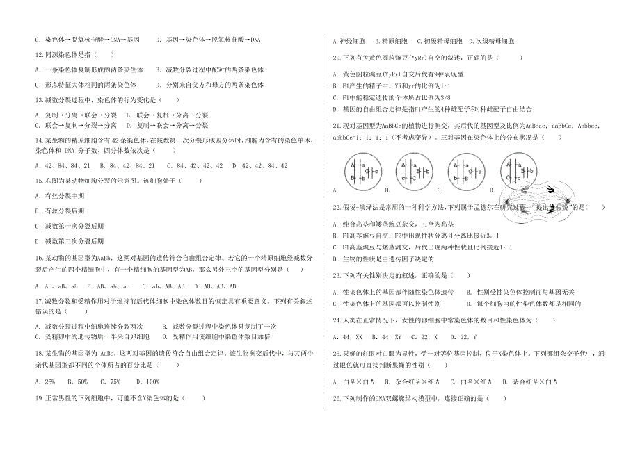 河北省枫华高中20202-2021学年高一下学期期中考试生物试题 WORD版含答案.docx_第2页