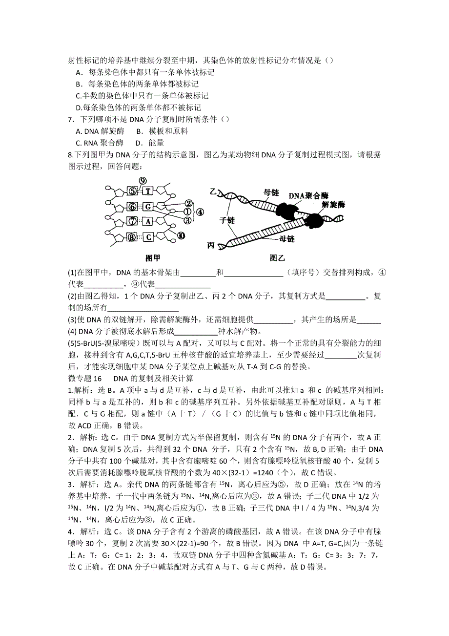 河南省雪枫中学高一生物同步培优资料 必修2 微专题16 DNA的复制及相关计算 WORD版含答案.doc_第2页