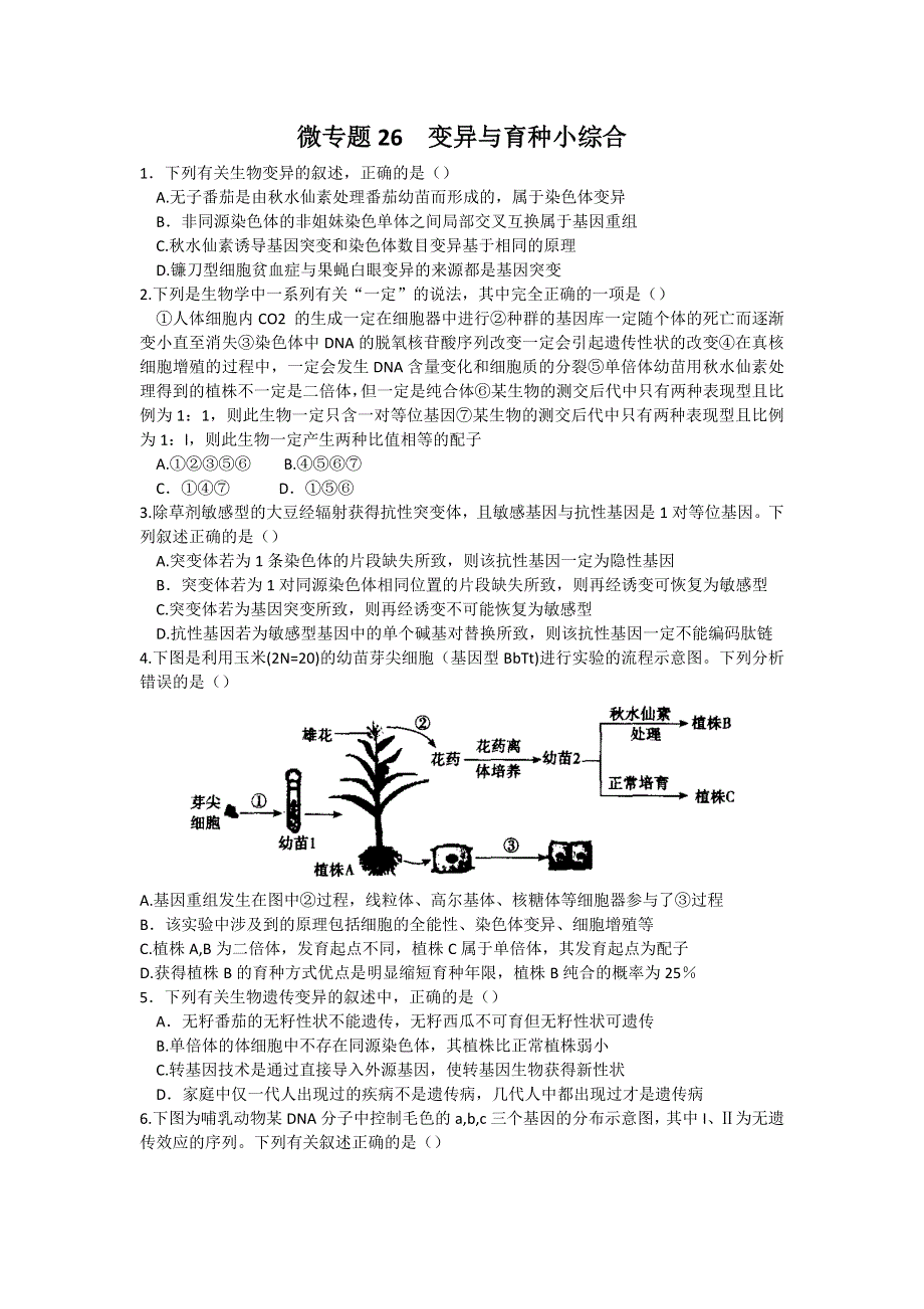 河南省雪枫中学高一生物同步培优资料 必修2 微专题26 变异与育种小综合 WORD版含答案.doc_第1页