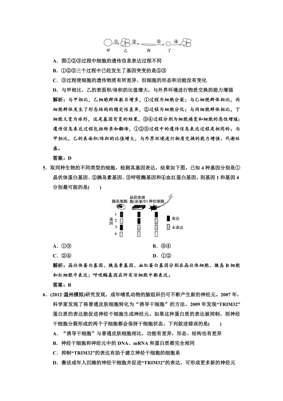 2014高考生物一轮复习课时规范训练 必修一 第六章 细胞的生命历程2—4 WORD版含解析.doc_第2页