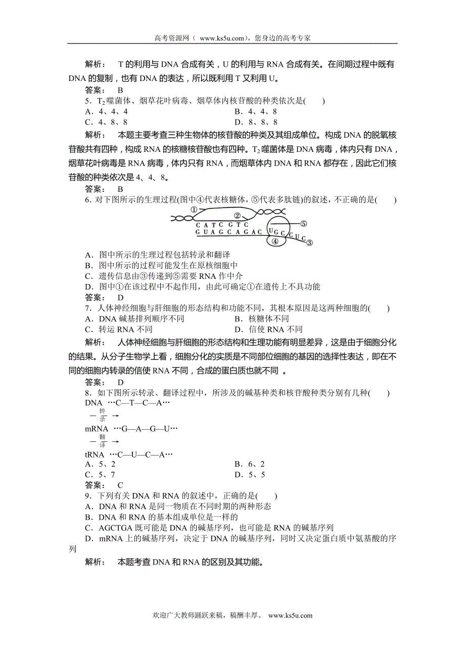 2013-2014学年高一生物人教版必修2课下作业 4.1基因指导蛋白质的合成 WORD版含答案.doc_第2页