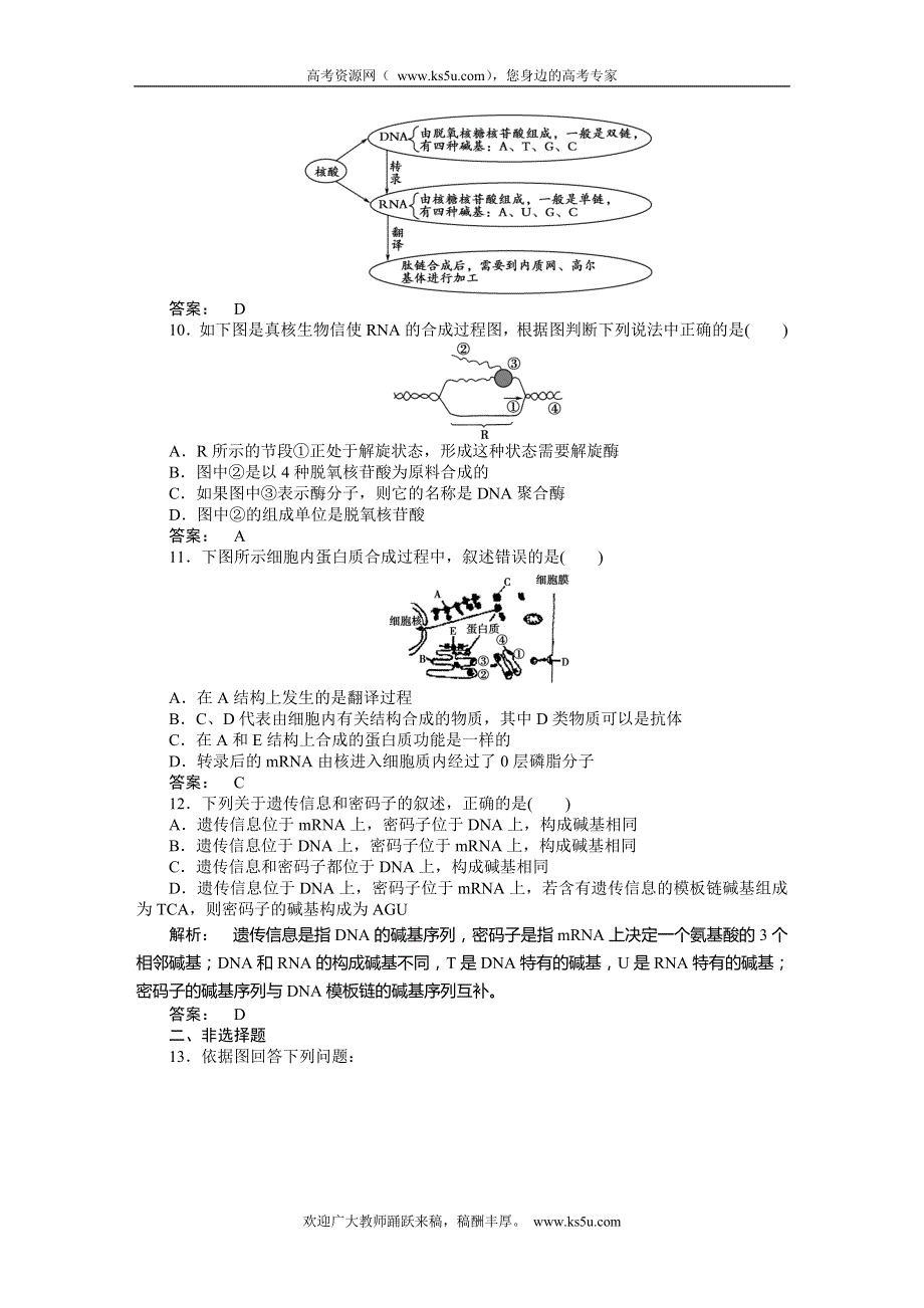 2013-2014学年高一生物人教版必修2课下作业 4.1基因指导蛋白质的合成 WORD版含答案.doc_第3页