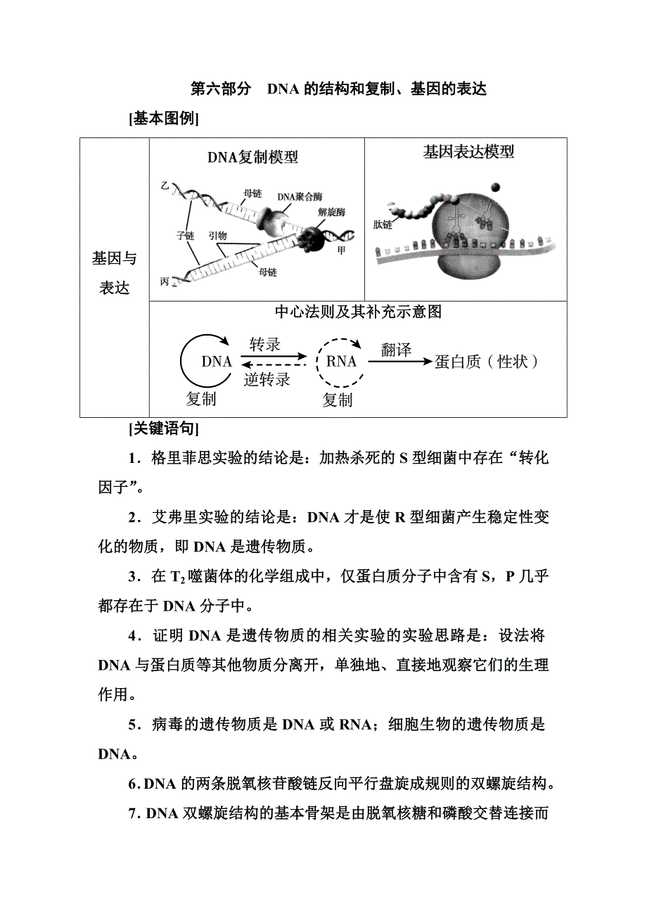 2014高考生物考前回归教材：第六部分　DNA的结构和复制、基因的表达.doc_第1页