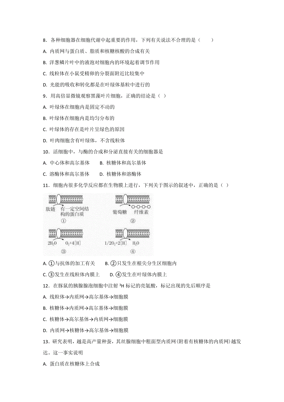 《整合》人教版高三生物一轮专题练第6讲细胞器与生物膜系统基础练习1 .doc_第3页