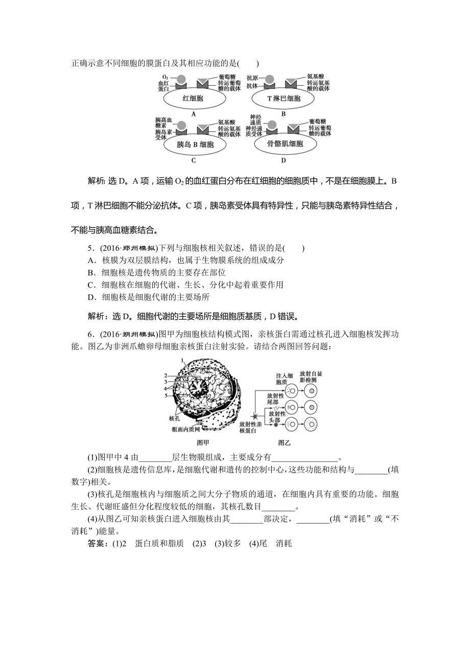 2017《优化方案》高考生物（新课标）一轮复习练习：第2单元 细胞的结构和物质运输 第5讲随堂反馈演练冲关 WORD版含答案.doc_第2页