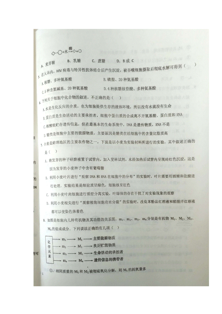 河北省枣强中学2017届高三上学期第二次月考生物试题 扫描版含答案.doc_第2页