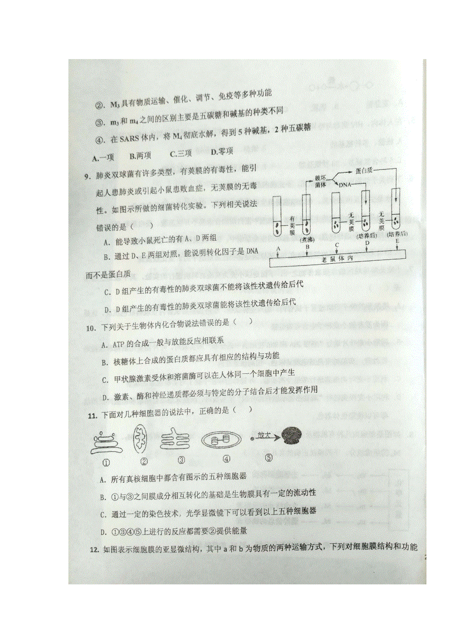 河北省枣强中学2017届高三上学期第二次月考生物试题 扫描版含答案.doc_第3页