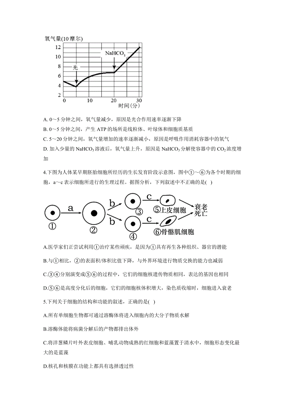 河南省洛阳市孟津县第一高级中学2022届新高三上学期8月暑期综合训练（三）生物试题 WORD版含答案.docx_第2页