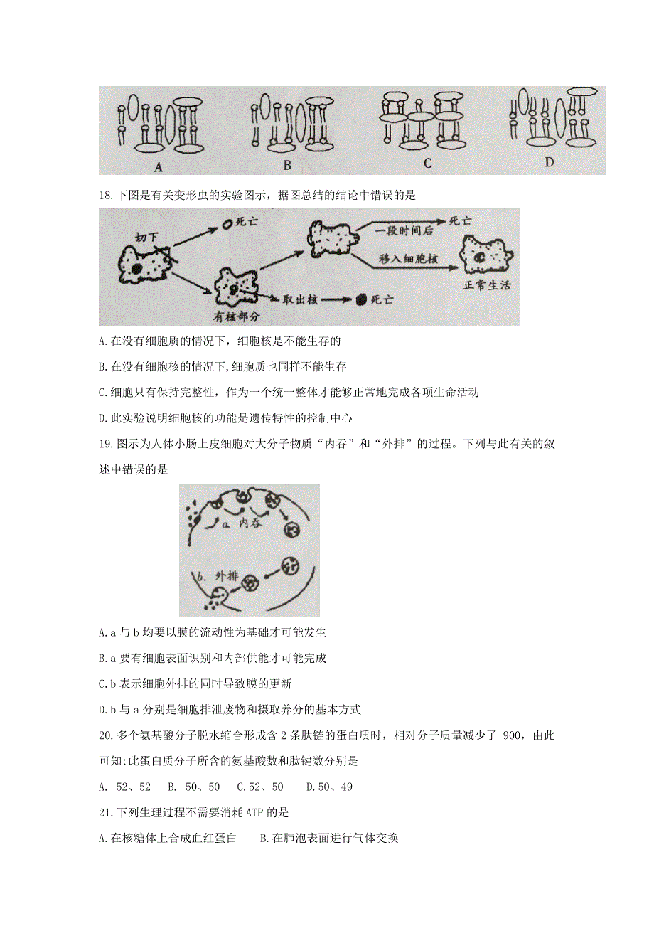 山西省晋城市陵川一中等校2015-2016学年高二下学期期末联考生物试题 WORD版含答案.doc_第3页