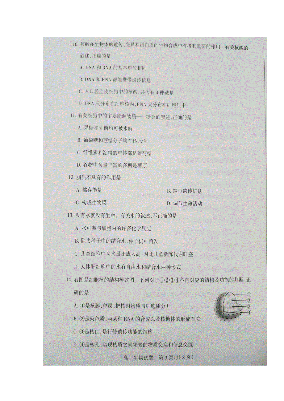 山西省晋城市陵川第一中学2016-2017学年高一上学期期中考试生物试题 扫描版缺答案.doc_第3页