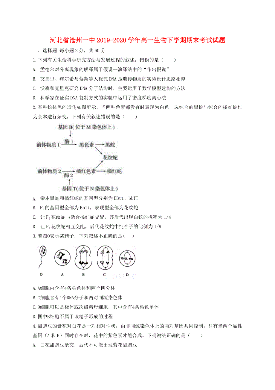 河北省沧州一中2019-2020学年高一生物下学期期末考试试题.doc_第1页