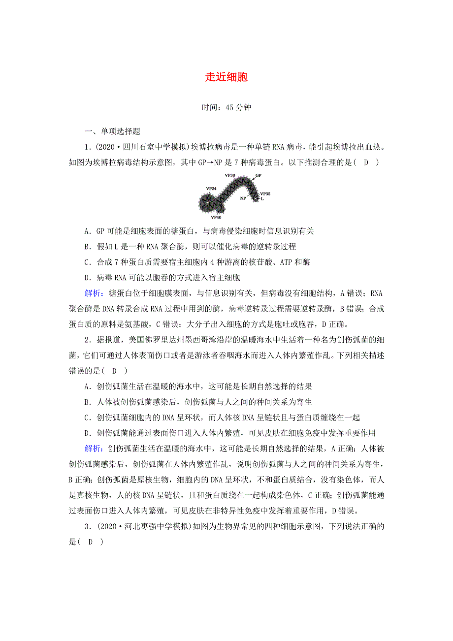 （山东专用）2021高考生物一轮复习 第一单元 走近细胞和组成细胞的分子 第1讲 走近细胞课时作业（含解析）.doc_第1页