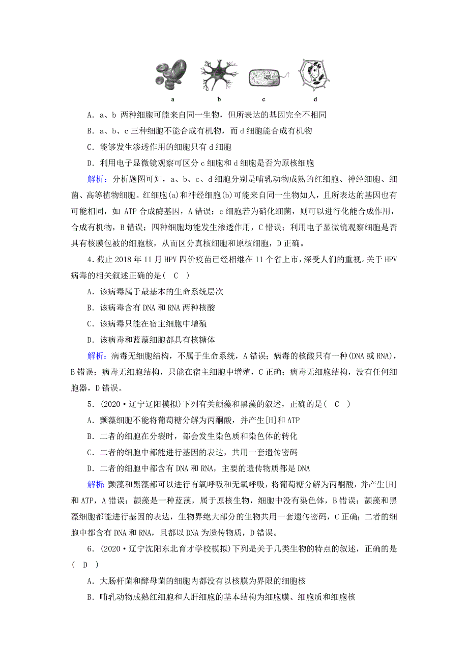 （山东专用）2021高考生物一轮复习 第一单元 走近细胞和组成细胞的分子 第1讲 走近细胞课时作业（含解析）.doc_第2页