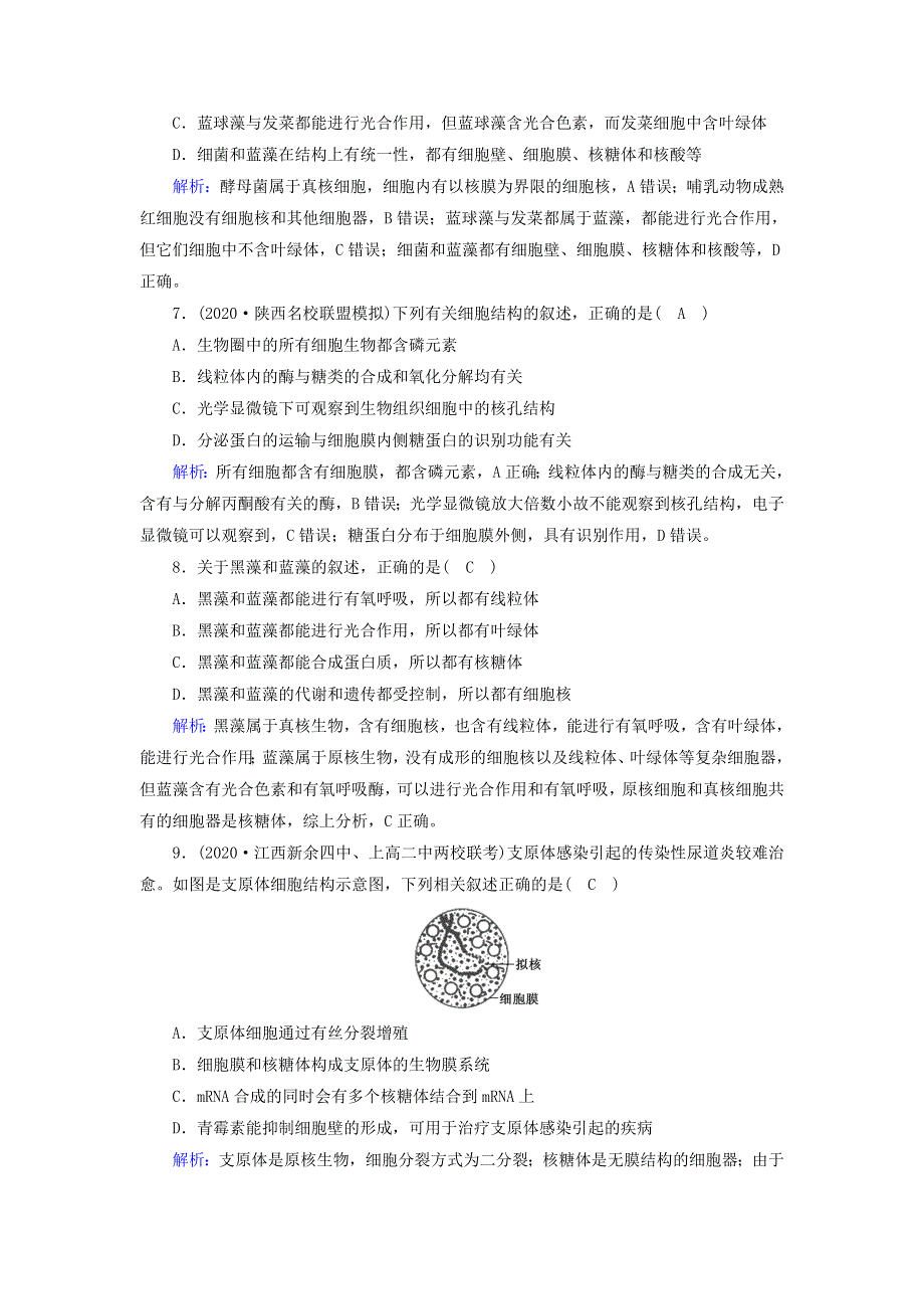 （山东专用）2021高考生物一轮复习 第一单元 走近细胞和组成细胞的分子 第1讲 走近细胞课时作业（含解析）.doc_第3页