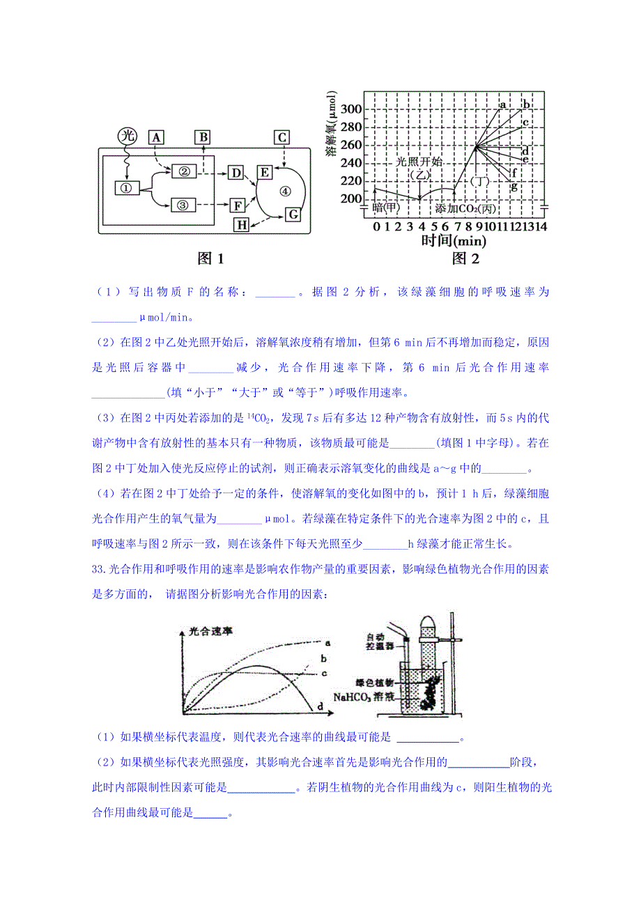 河北省正定中学2017届高三综合测试（一）理综-生物试题 WORD版含答案.doc_第3页