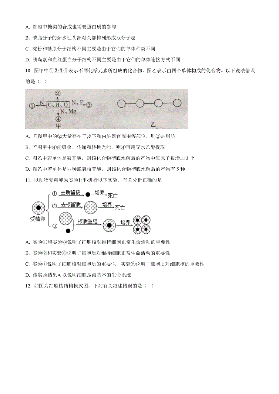 山西省朔州市应县一中2020-2021学年高一上学期期末考试生物试题 WORD版含答案.doc_第3页