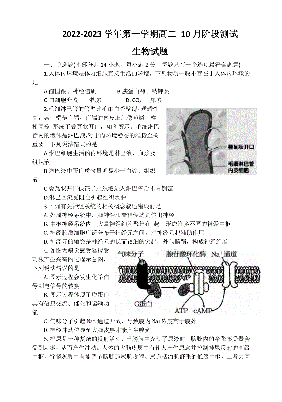 江苏省扬州市高邮市2022-2023学年高二上学期10月月考试题 生物 WORD版含答案.doc_第1页