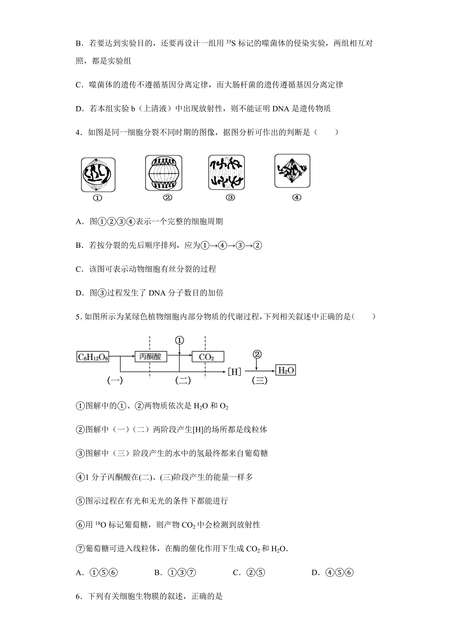 河南省驻马店市新蔡县第一高级中学2020-2021学年高一下学期5月半月考生物试题 WORD版含答案.docx_第2页