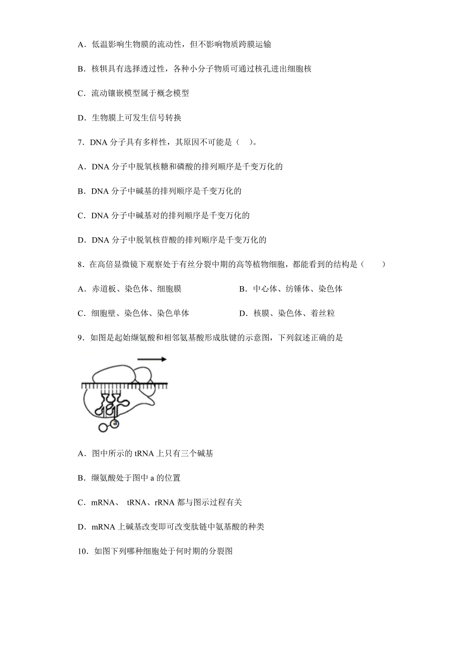 河南省驻马店市新蔡县第一高级中学2020-2021学年高一下学期5月半月考生物试题 WORD版含答案.docx_第3页