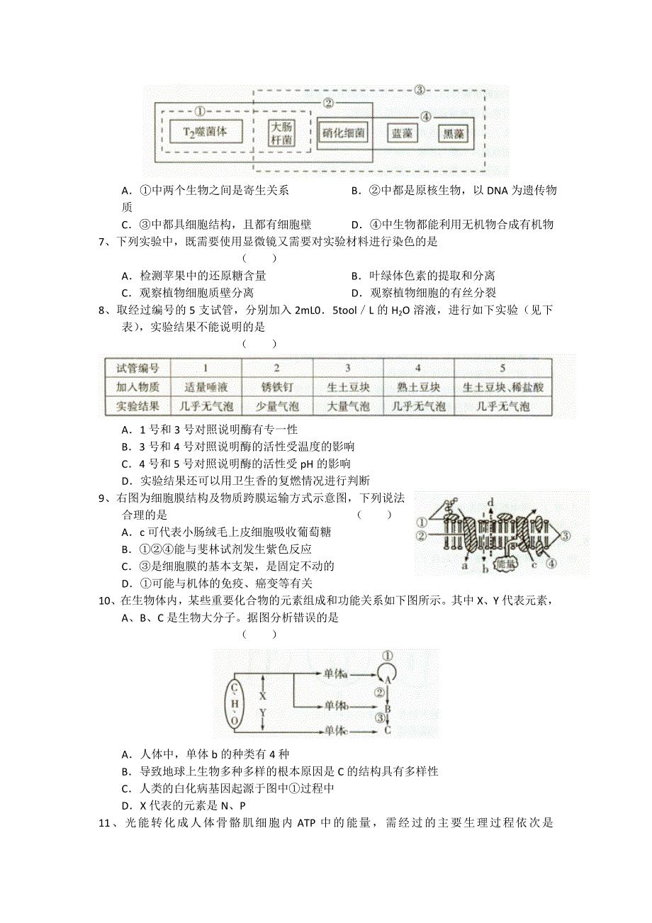 江苏省无锡一中2012届高三上学期期中考试 生物.doc_第2页