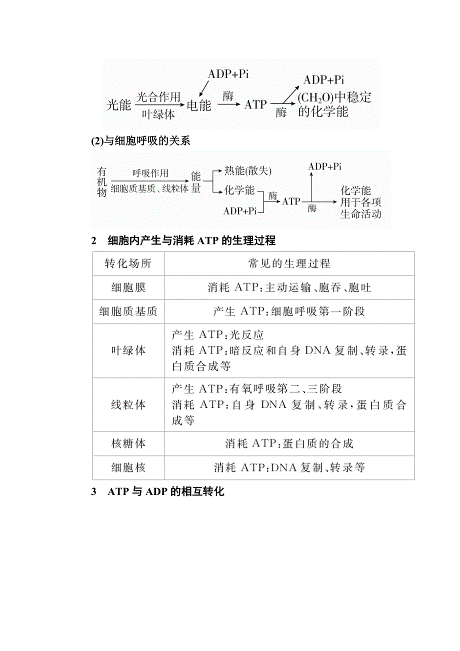 2017届生物一轮教学案：专题4考点三　细胞的能量“通货”——ATP WORD版含解析.doc_第2页