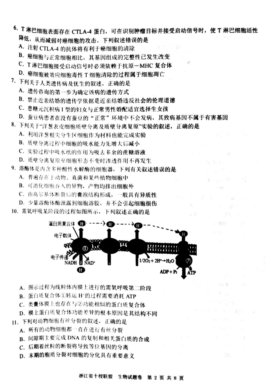 浙江省十校联盟2021届高三寒假返校联考生物试题卷 PDF版含答案.pdf_第2页